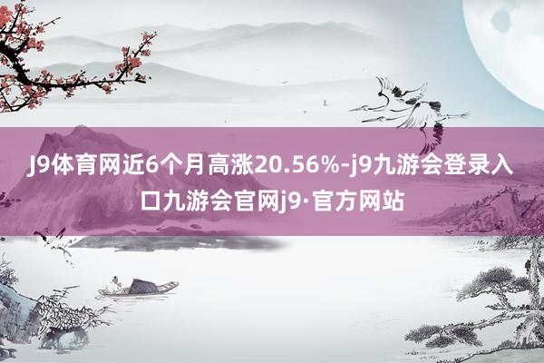 J9体育网近6个月高涨20.56%-j9九游会登录入口九游会官网j9·官方网站