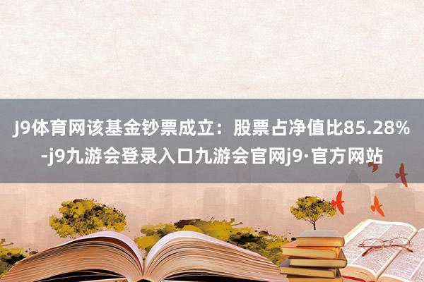 J9体育网该基金钞票成立：股票占净值比85.28%-j9九游会登录入口九游会官网j9·官方网站