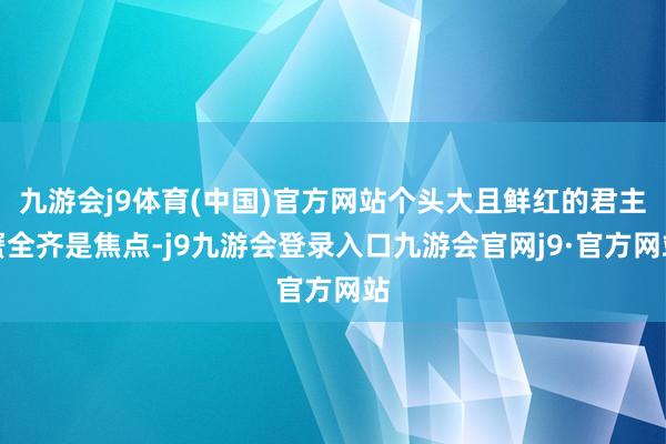 九游会j9体育(中国)官方网站个头大且鲜红的君主蟹全齐是焦点-j9九游会登录入口九游会官网j9·官方网站
